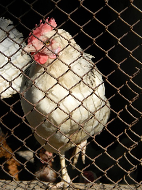 攻的过程中 攻的过程中