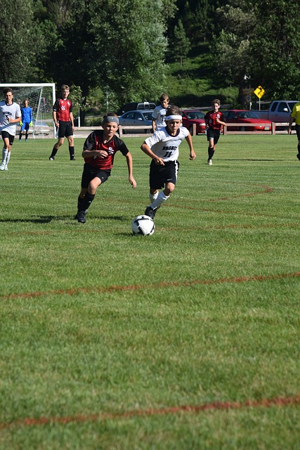 美因茨试图 美因茨试图