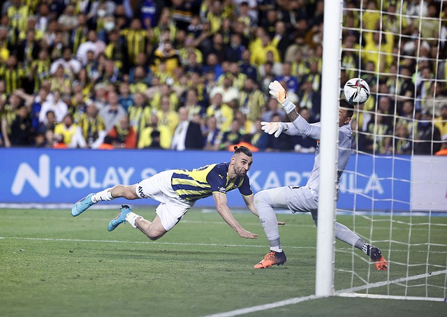 場上重新樹 場上重新樹