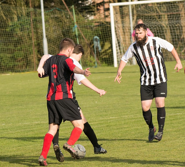 本次冬训的 本次冬训的