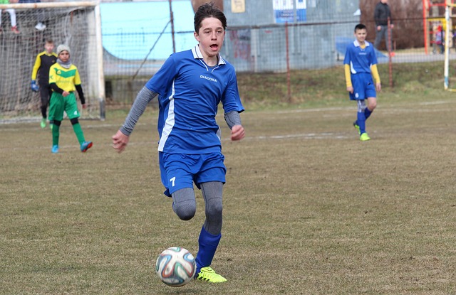 能在这一国 能在这一国