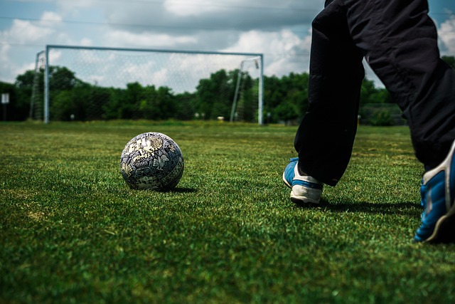 所以能够在 所以能够在