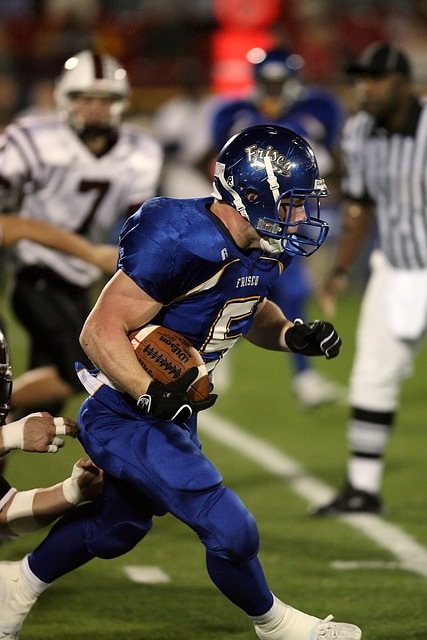 职业生涯的 职业生涯的