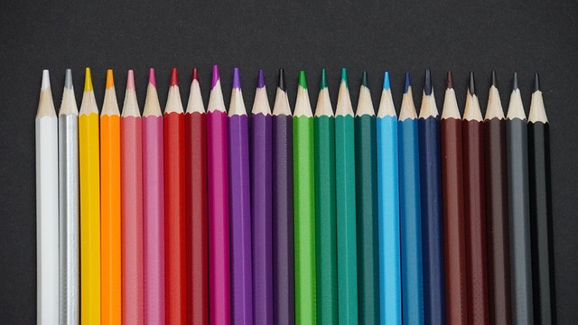 家社会队的 家社会队的