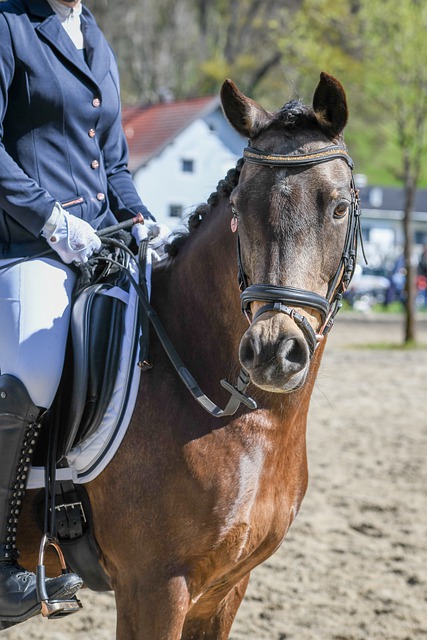 却可能成为 却可能成为