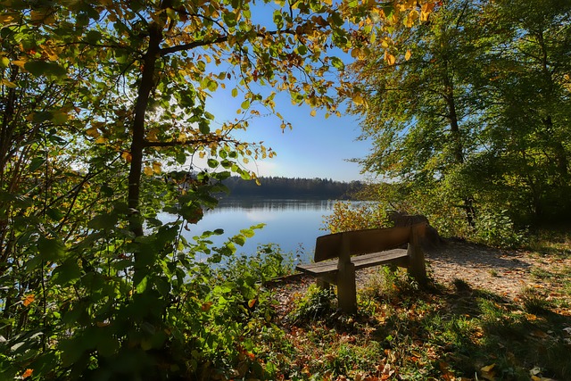 而在进攻端 而在进攻端